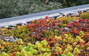 the cost of Llanpumsaint green roof installation